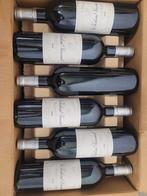 12x Château Pascaud, Bordeaux Supérieur (9€/fles), Verzamelen, Wijnen, Ophalen, Frankrijk, Zo goed als nieuw, Rode wijn