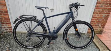 Gazelle cityzen speedpedelec met raport.   beschikbaar voor biedingen