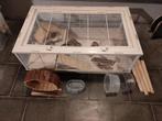 Hamster,cavia kooi op poten met toebehoren, Dieren en Toebehoren, Kooi, Gebruikt, Muis, 75 tot 110 cm