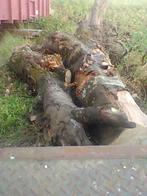 hout, Tuin en Terras, Brandhout, Ophalen of Verzenden