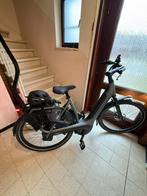 Gazelle Avignon c380+ 2026 | Accu 800 Wh Bosch, Ophalen, Zo goed als nieuw, Gazelle