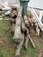 Gratis brandhout, Tuin en Terras, Brandhout, Minder dan 3 m³, Ophalen, Overige houtsoorten, Stammen