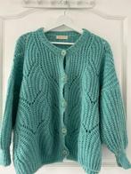 Gebreid vest Turquoise Groen Mika Elles, Kleding | Dames, Maat 38/40 (M), Overige kleuren, Ophalen of Verzenden, Zo goed als nieuw