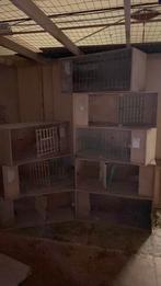 Duiven kweekbak, Animaux & Accessoires, Volatiles | Accessoires, Enlèvement