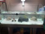 Aquarium 100L, Dieren en Toebehoren, Ophalen, Zo goed als nieuw