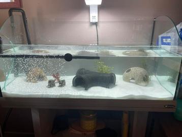 Aquarium 100L beschikbaar voor biedingen