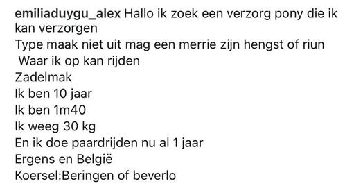 Ik zoek een verzorg paard of pony, Dieren en Toebehoren, Paarden, Ruin, Zadelmak, 175 cm of meer, 7 tot 10 jaar, Springpaard, Gechipt