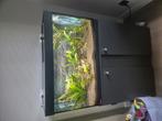 Eheim aquaria + nog 1 superfish met benodigheden, Dieren en Toebehoren, Vissen | Aquaria en Toebehoren, Ophalen