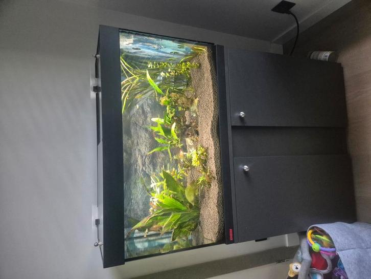 Eheim aquaria + nog 1 superfish met benodigheden, Dieren en Toebehoren, Vissen | Aquaria en Toebehoren, Ophalen