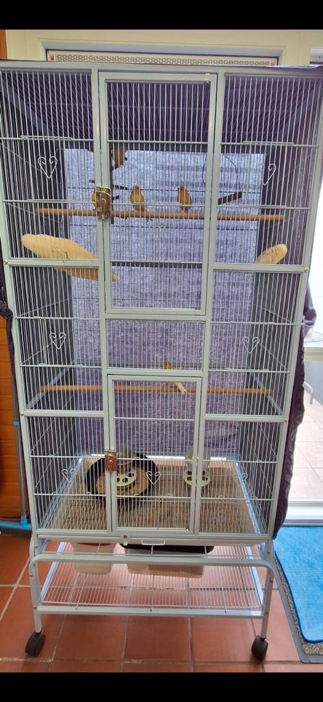Grote kanariekooi 1jaar en 8 maand aangekocht ., Dieren en Toebehoren, Vogels | Hokken en Kooien, Zo goed als nieuw, Ophalen
