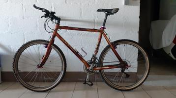 mountainbike  U. Scanini - kader 54 cm  beschikbaar voor biedingen