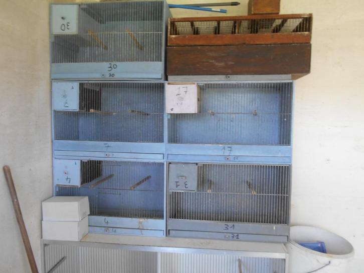 kweekkooien, Dieren en Toebehoren, Vogels | Hokken en Kooien, Gebruikt, Broedkooi of Kweekkooi, Ophalen