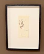 Panamarenko - Robinson Archaiopterix - gesigneerd, Antiek en Kunst, Verzenden