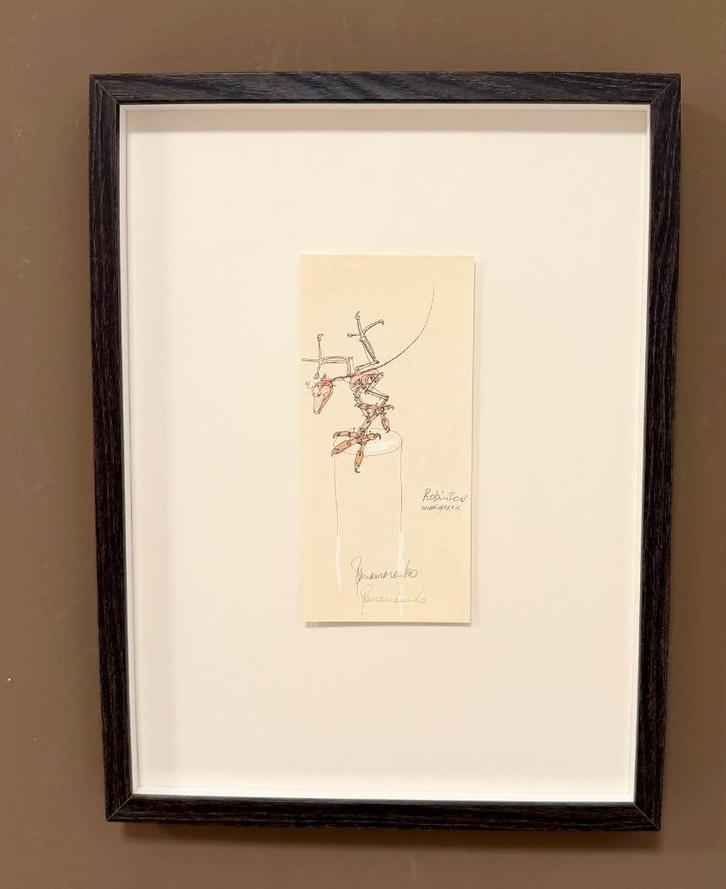 Panamarenko - Robinson Archaiopterix - gesigneerd, Antiek en Kunst, Kunst | Litho's en Zeefdrukken, Verzenden