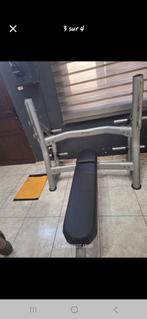 Banc développé couché professionnel matrix, Enlèvement, Utilisé, Métal, Couché