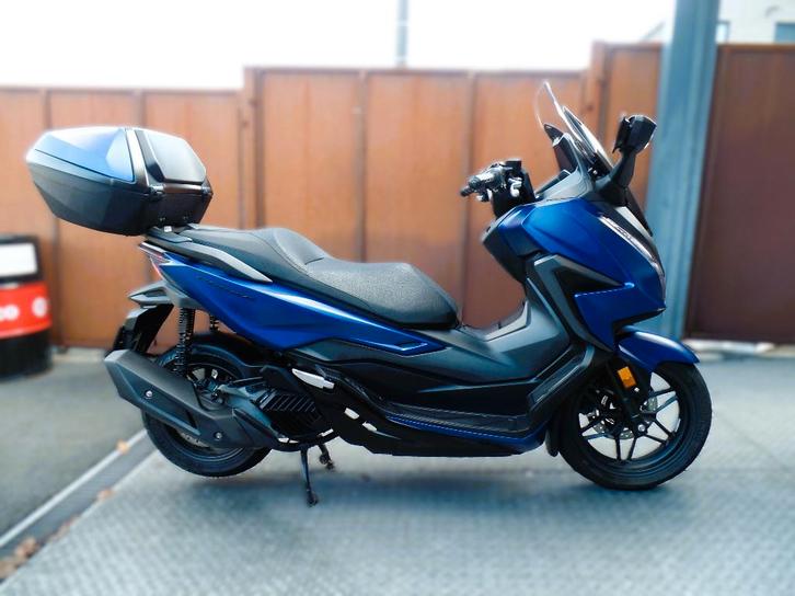 forza 125cm³ abs permisB 2022 garantie 1.2.3ans jhbmotos, Motos, Motos | Honda, Entreprise, Scooter, jusqu'à 11 kW, 1 cylindre