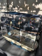 Kanarie, Dieren en Toebehoren