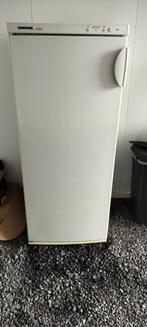 Diepvries Liebherr 6 lades, Elektronische apparatuur, Vriezers en Diepvrieskisten, Ophalen, Gebruikt