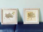 2 Botanische Prenten – Zuid-Frankrijk, Ophalen of Verzenden
