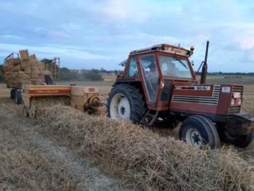 Petits ballots de paille de froment 2025 beschikbaar voor biedingen