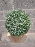 Prachtige kunstbal van buxus, Ophalen of Verzenden, Zo goed als nieuw, Binnen