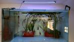aquarium te koop !!, Dieren en Toebehoren, Ophalen of Verzenden, Zo goed als nieuw