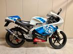 Aprilia Rs 50 *Ms Replica * Unique *, Super Sport, Particulier, 50 cm³