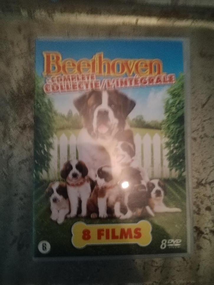 Beethoven collectie (8 films), CD & DVD, DVD | Comédie, Comédie d'action, Coffret, À partir de 6 ans, Envoi