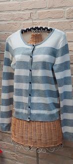 Vest maat 47cm van oksel tot oksel maison scott, Kleding | Dames, Truien en Vesten, Ophalen of Verzenden