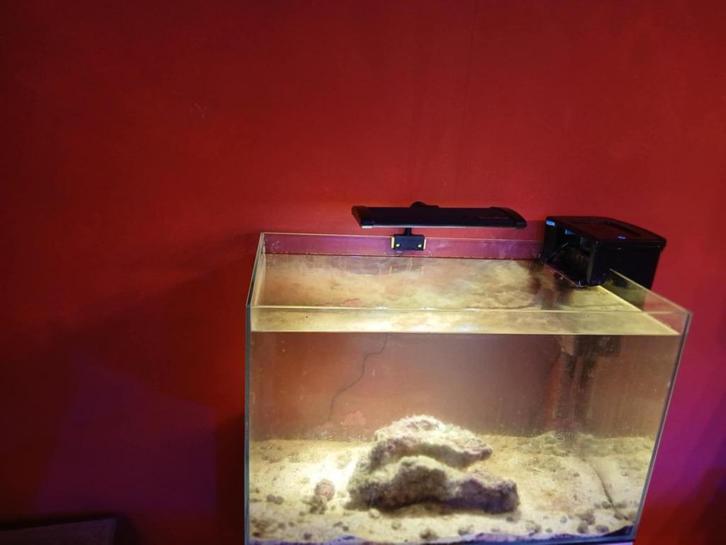 Aquarium marin 90l, Dieren en Toebehoren, Vissen | Aquaria en Toebehoren, Gebruikt, Gevuld zeewateraquarium, Ophalen