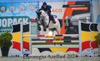 Ruiter/trainer aangeboden, Dieren en Toebehoren, Ophalen of Verzenden