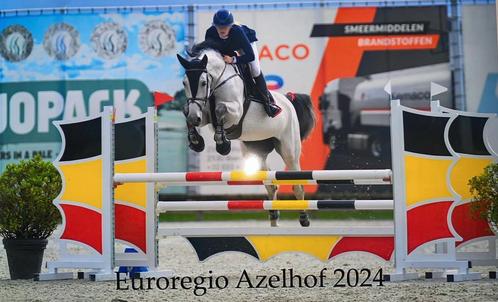 Ruiter/trainer aangeboden, Dieren en Toebehoren, Paarden en Pony's | Overige Paardenspullen, Ophalen of Verzenden