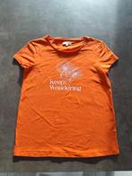 T-shirt jbc Bel&Bo maat 176, Kinderen en Baby's, Kinderkleding | Maat 176, Bel&Bo, Meisje, Ophalen of Verzenden, Zo goed als nieuw