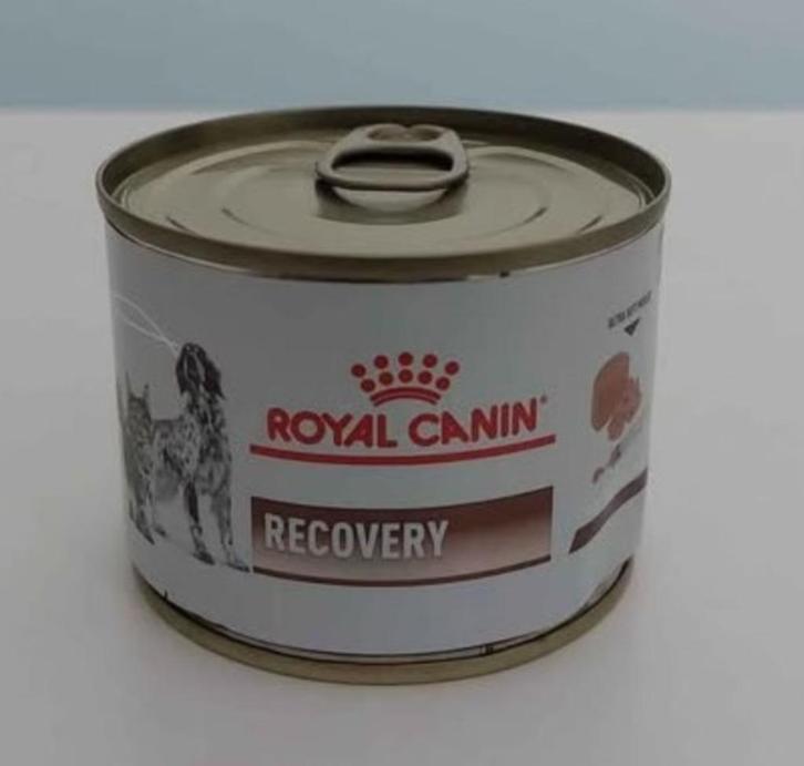 Royal Canin mousse Recovery 195 g, Dieren en Toebehoren, Dierenvoeding, Hond, Ophalen of Verzenden
