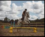 Recreatiepaard te koop, Dieren en Toebehoren, Merrie, Recreatiepaard, Met stamboom