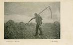 Prentkaart Hooier, Ophalen of Verzenden, 1920 tot 1940, Ongelopen, Antwerpen