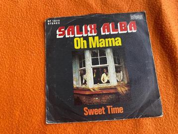 Salix Alba (BE) beschikbaar voor biedingen