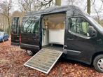 Unieke Paardentransporter - Opel Movano - Met trekhaak, Autres matériaux, Utilisé, Remorque 2 chevaux, Enlèvement ou Envoi