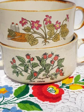 Vintage schalen met botanische motieven  beschikbaar voor biedingen