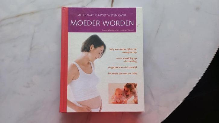 Sabine Schwabenthan - Moeder worden, Livres, Grossesse & Éducation, Comme neuf, Enlèvement ou Envoi