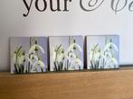 Drie identieke canvassen van bloemen, Ophalen of Verzenden, Nieuw
