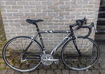 Racefiets: Anibel Panther Full Ultegra