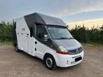 Paardencamionette, Ophalen, Gebruikt, Polyester