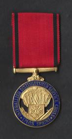 Interallied Distinguished Service, Ophalen of Verzenden