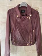 Ibana lederen vest bordeaux maat 36, Ibana, Ophalen of Verzenden, Nieuw, Maat 36 (S)