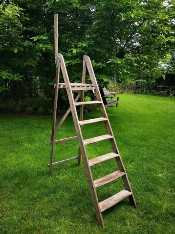 Oude ladder 