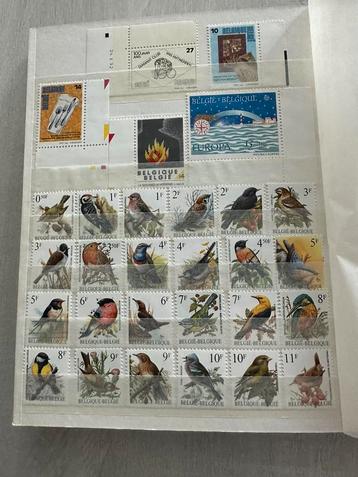 Postzegelverzameling alle landen 