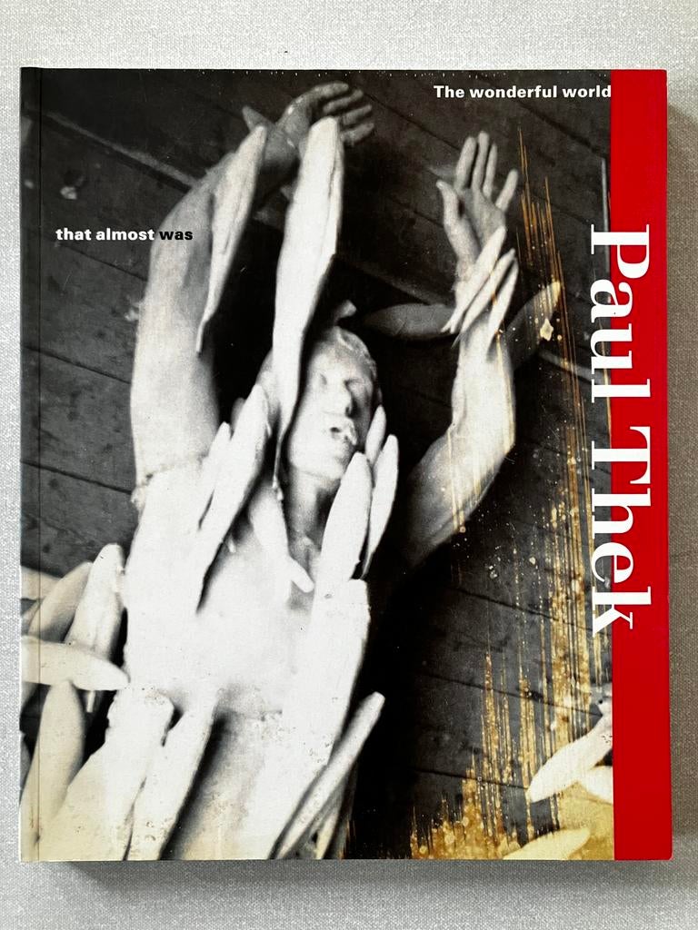 Paul Thek The wonderful world that almost was, Ophalen, Zo goed als nieuw