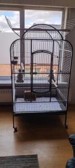 Cages pour perroquets, grandes et petites, Enlèvement ou Envoi