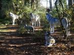 noorse wolf op ware grootte, Jardin & Terrasse, Statues de jardin, Enlèvement